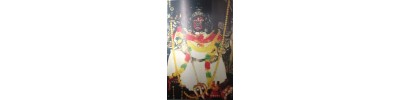 அம்பகரத்தூர் காளி - பாண்டிச்சேரி
